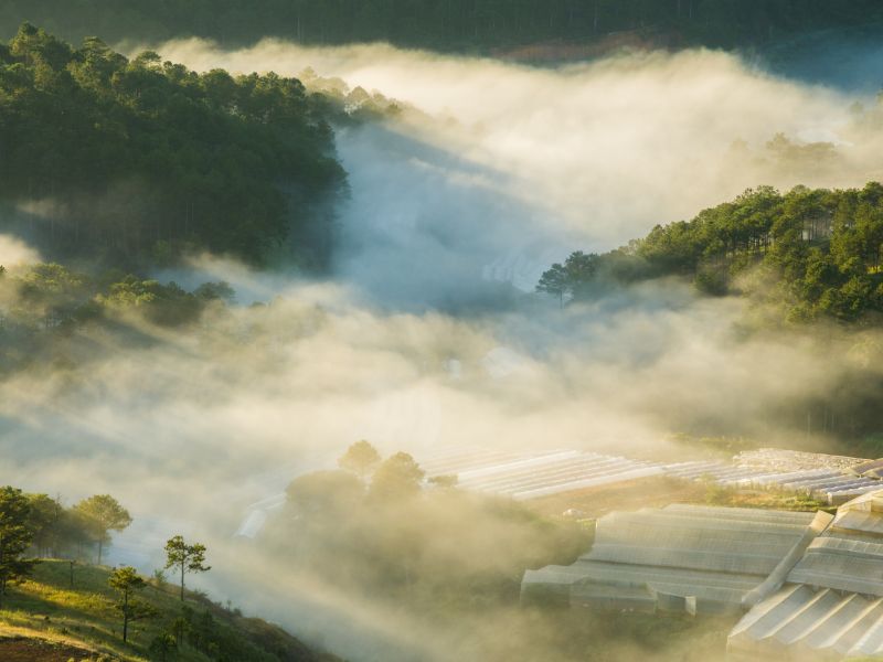 da-lat-mua-nao-dep-nhat-du-lich-tghue-xe-gia-re-da-lat-ngocanhdalattravel-com