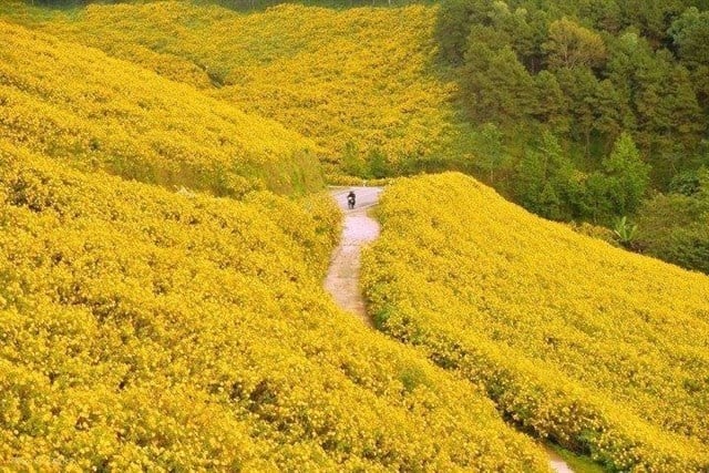 da-quy-da-lat-du-lich-thue-xe-gia-re-ngocanhdalattravel-com