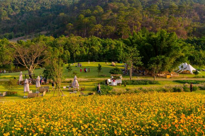 dia-diem-du-lich-hot-nhat-da-lat-ngocanhdalattravel-com-3